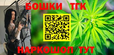 гидра Славгород