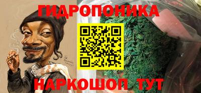 гидра Славгород
