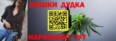 гидра Славгород