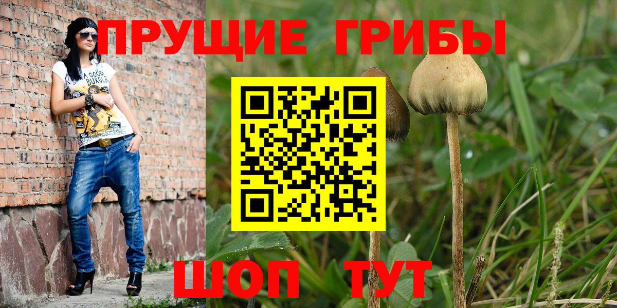 Галлюциногенные грибы Psilocybe  Псилоцибиновые грибы MAGIC MUSHROOMS  Чапаевск  Вход с VPN 